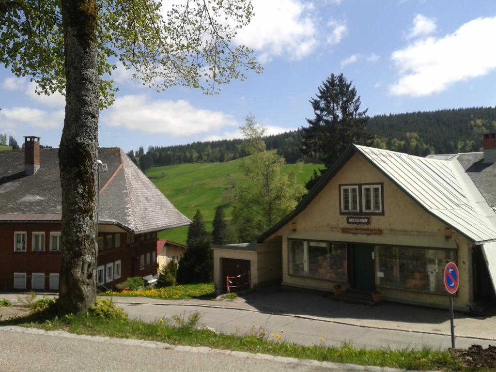Hotel Sternen - Anno 1769 Todtnauberg Szoba fotó