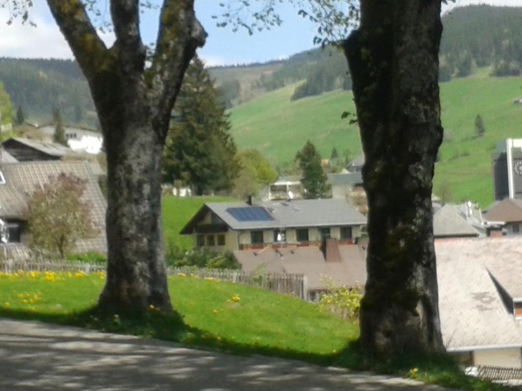 Hotel Sternen - Anno 1769 Todtnauberg Szoba fotó