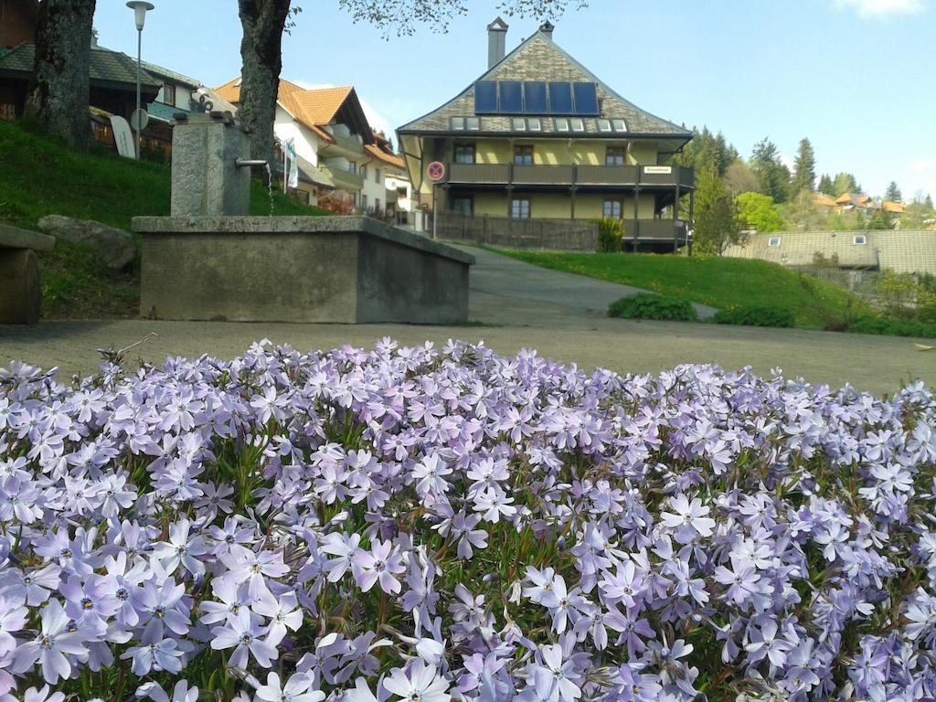Hotel Sternen - Anno 1769 Todtnauberg Kültér fotó